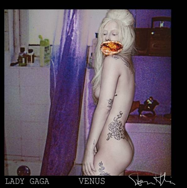 Lady Gaga (ladygaga) Nude OnlyFans Leaks (15 Photos) on fansgirls.net