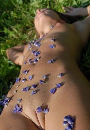 Completely naked teen Nikki D covers herself with petals from wildflowers on fansgirls.net